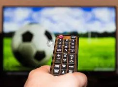 世界杯新军,对阵非洲强,胜率几何专,2026世界杯,世界杯赛程,参赛球队,购票信息,赛事安排