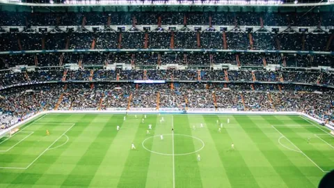 崇明五将辉煌战记，荣耀海港巅峰《不熄之红》预告片震撼发布！